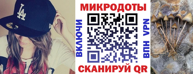 Псилоцибиновые грибы Psilocybine cubensis Правдинск