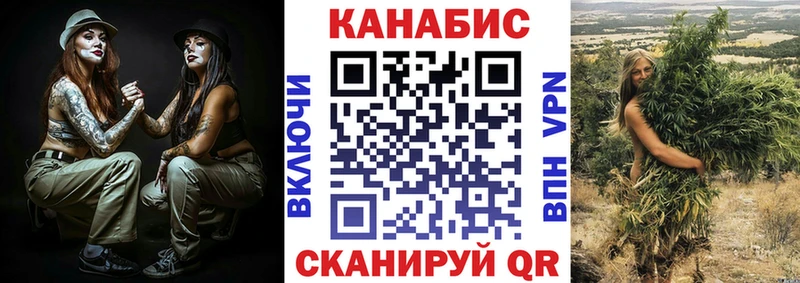 Шишки марихуана сатива купить закладку Правдинск
